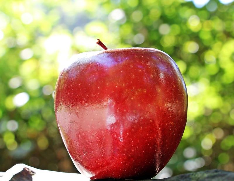 Apple and Spices