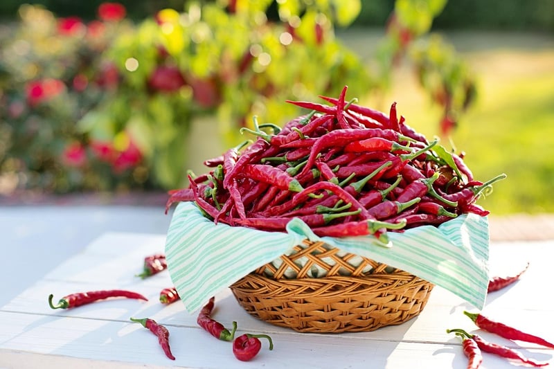 Spicy Chili Pepper