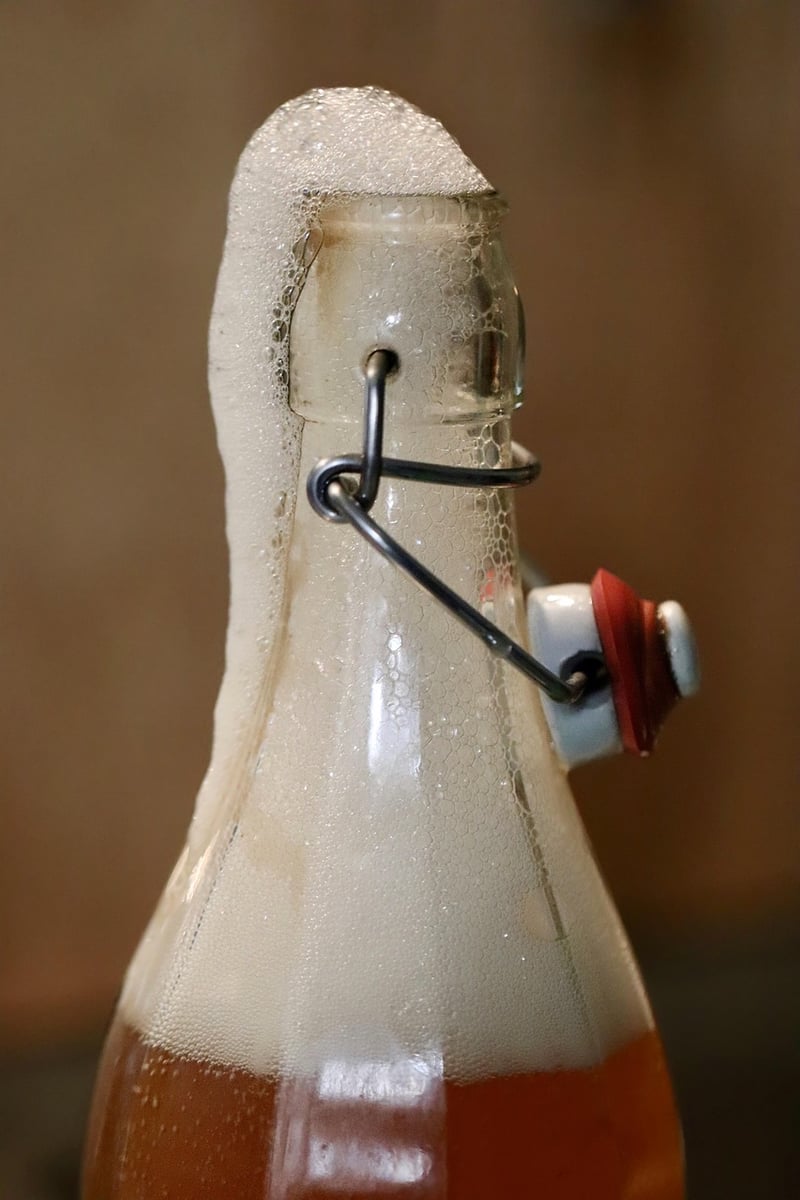 Fermentation